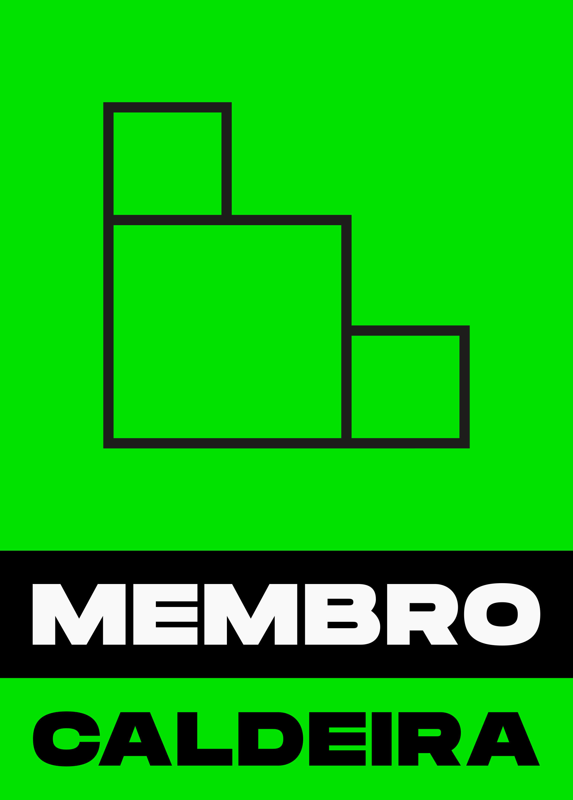 Instituto Caldeira Membro 2026